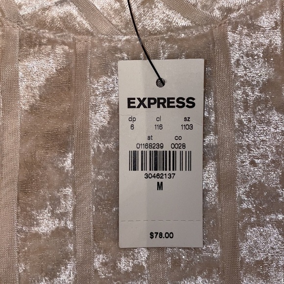 EXPRESS velvet striped sheer short sleeve shirt w/ high-low slit in size medium - Picture 7 of 9